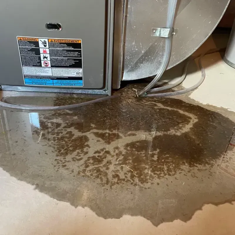 Appliance Leak Cleanup in Curtisville, PA